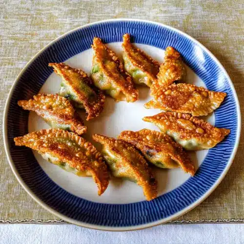 Fried Korean Dumplings